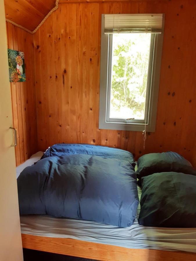 Rejkjaer Camping Hytter & Lejligheder Ulfborg Exteriör bild